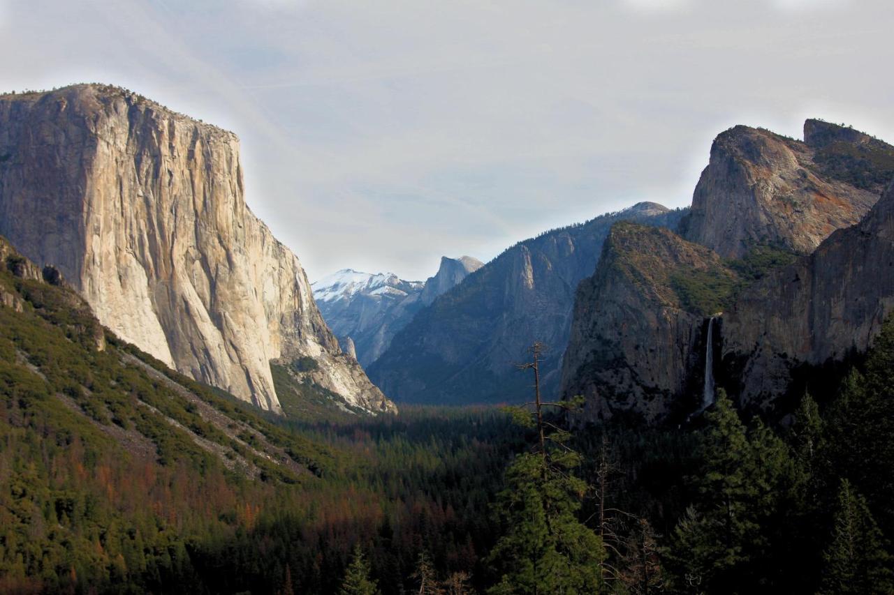 Tree House Lodge Yosemite West Exteriér fotografie
